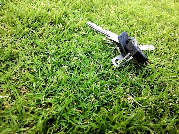 Foto close-up della chiave dell'auto sul campo d'erba