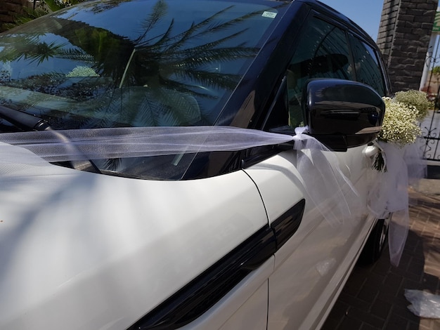 Foto prossimo piano dell'auto sull'albero