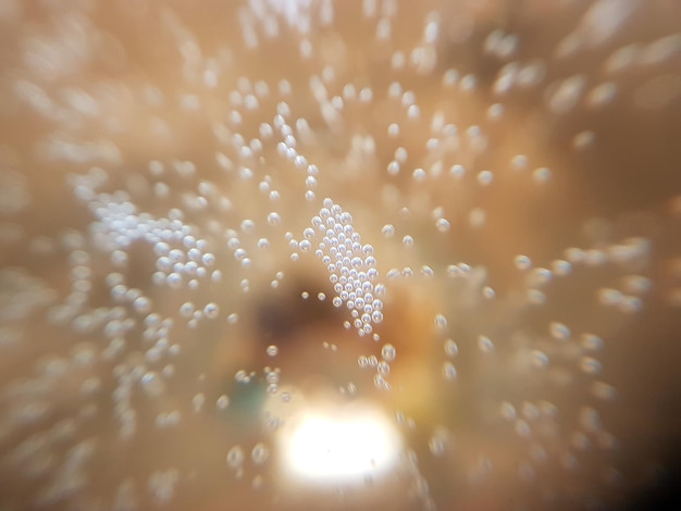 Photo close-up of carbonated bubbles