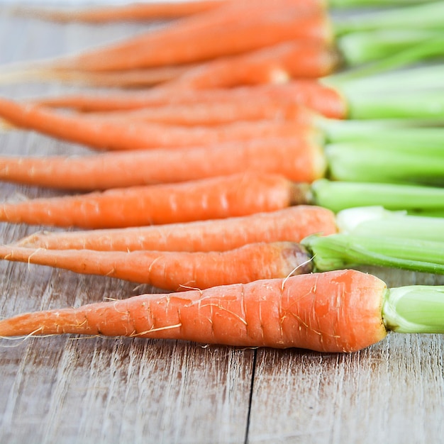 close-up of carrots