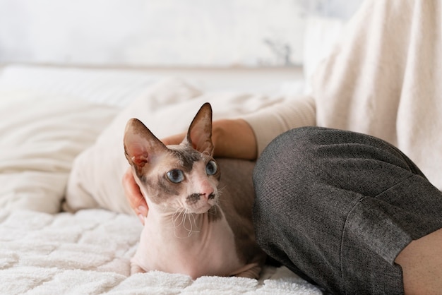 Primo piano gatto e proprietario a letto