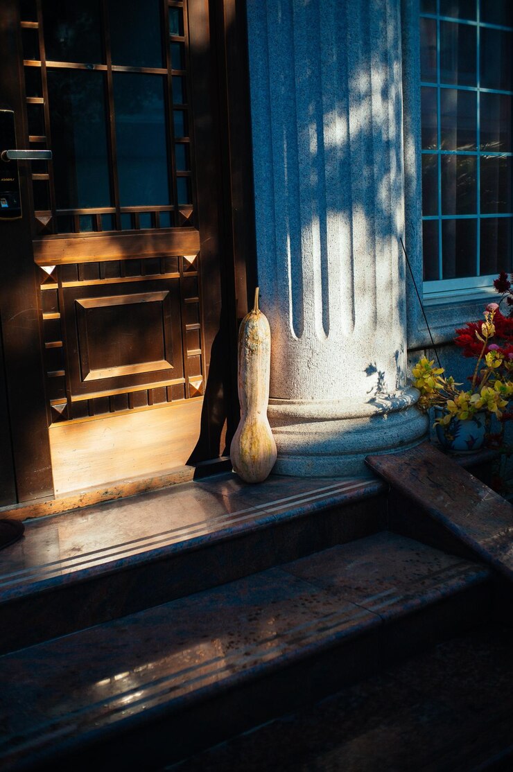 Photo close-up of cat on window sill