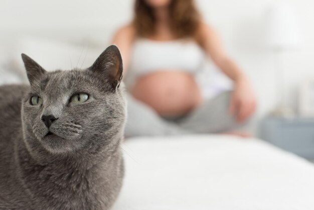 Close up to cat with pregnant woman in background