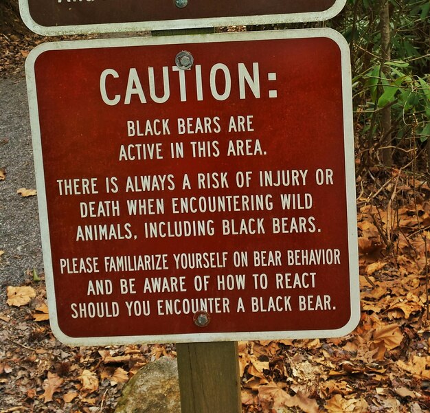 Close-up of caution signboard on red surface