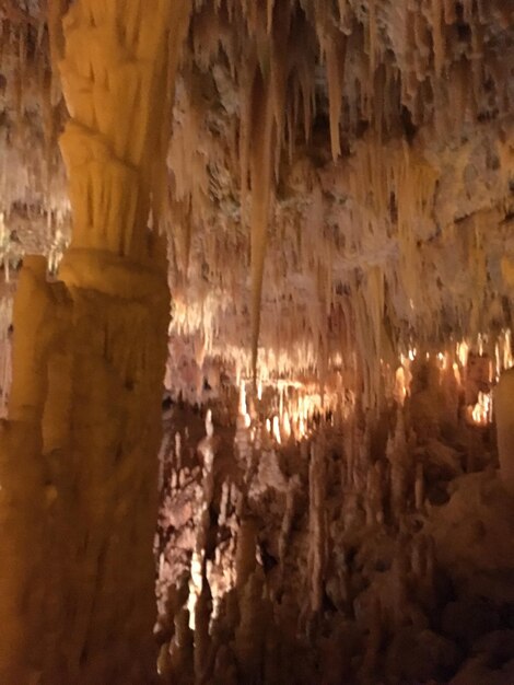 Close-up of cave