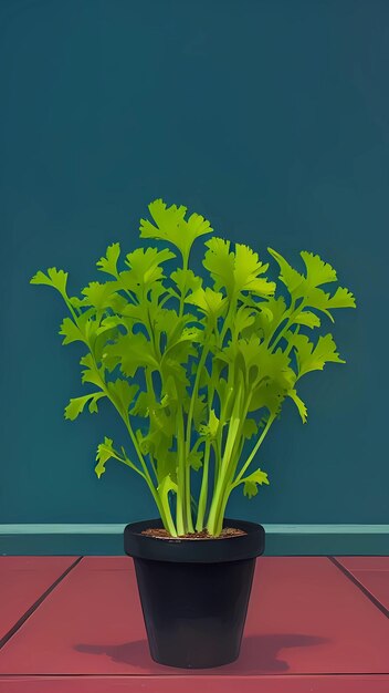 Close up of celery plant in a pot