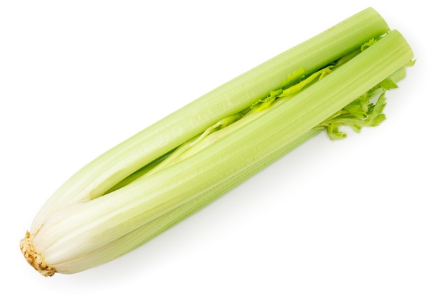 Close up celery stem in studio