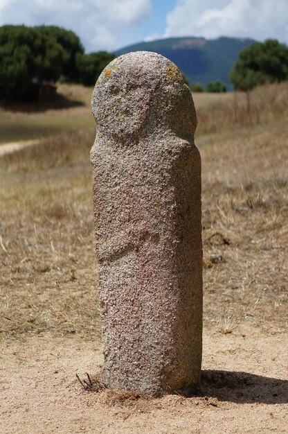 Foto close-up del cimitero sul campo