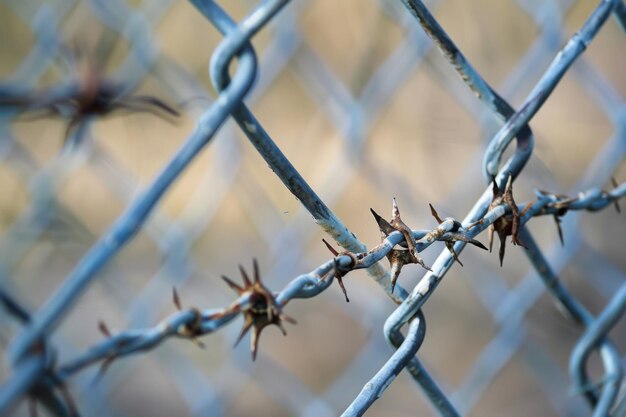 Close Up of a Chain Link Fence