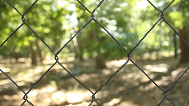 Close-up of chainlink fence