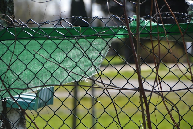 Close-up of chainlink fence