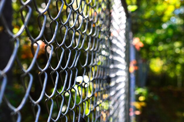 Photo close-up of chainlink fence