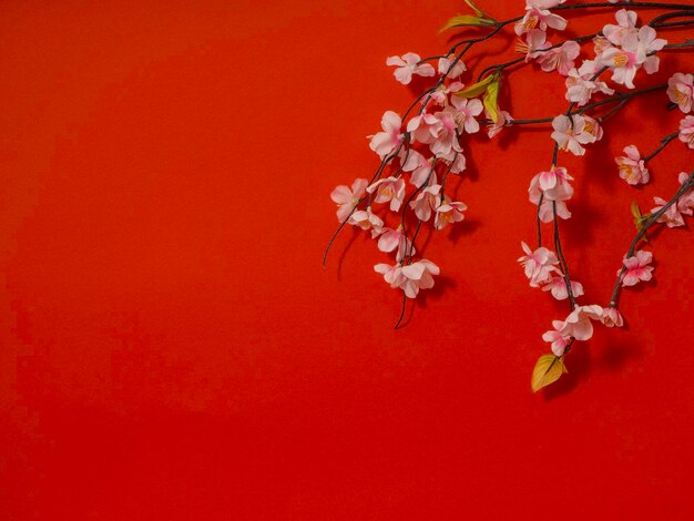Close-up of cherry blossom against orange background