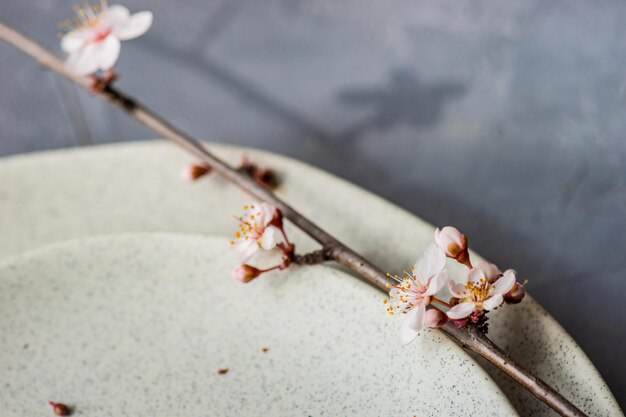 Close-up of cherry blossom