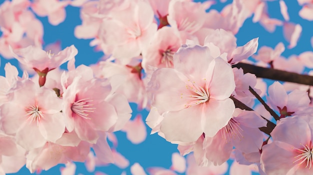 たくさんの花びらが後ろに落ち、澄んだ青い空と桜の花のクローズアップ。 3Dレンダリング