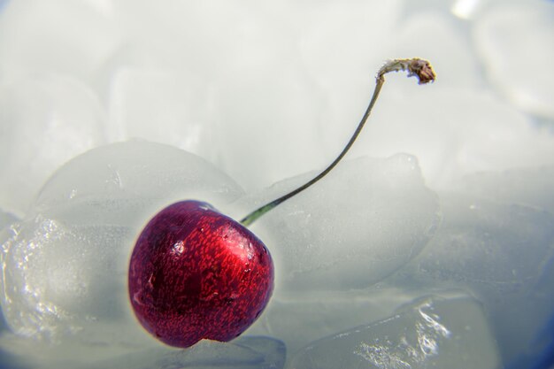 Photo close-up of cherry on ice