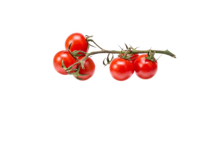 Photo close-up of cherry tomatoes against white background