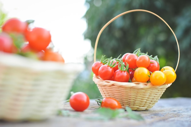 close-up of cherry tomatoes in baskets on table