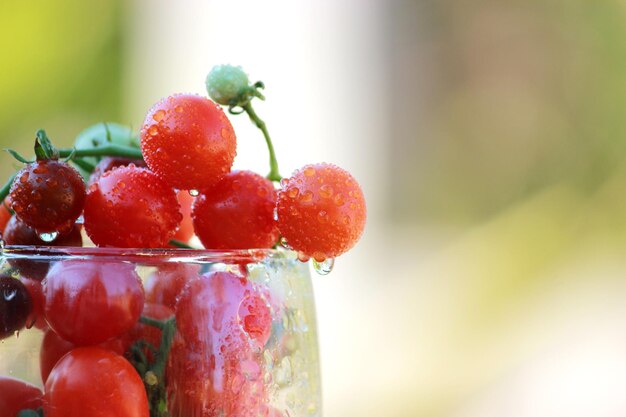 Close-up of cherry tomatoes in wineglass and basket on table