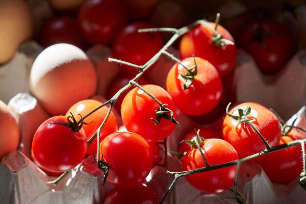 Close-up of cherry tomatoes