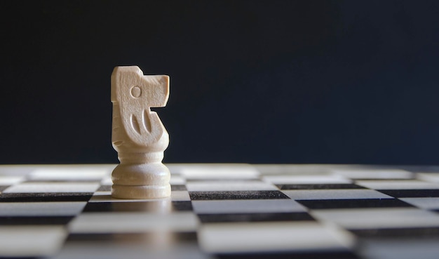 Close-up chess horse on board