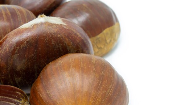 Photo close-up of chestnuts against white background