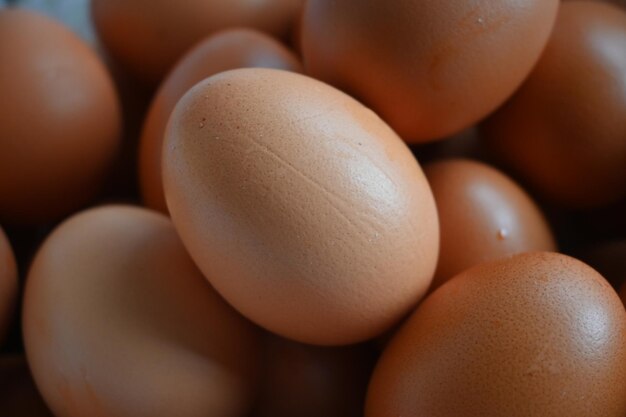 Photo close up of chicken egg