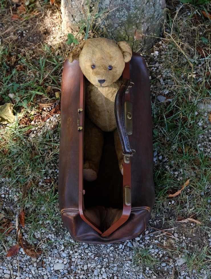 Photo フィールドでの子供のクローズアップ