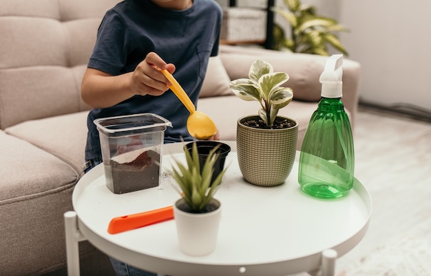 Close-up of a child's hand with a spatula transplanting a potted plant