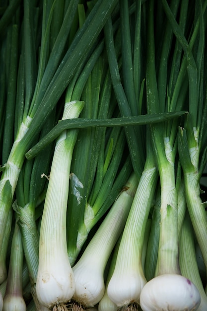 Photo close up of chives