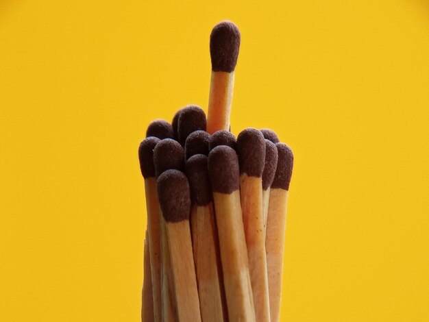 Close-up of chocolate cake against yellow background