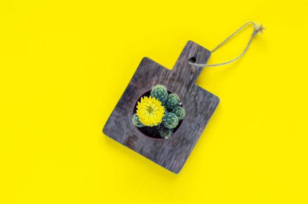 Close-up of chocolate cake on yellow background