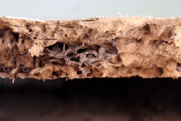 Foto close-up di una torta di cioccolato