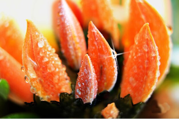 Close-up of chopped fruit in plate