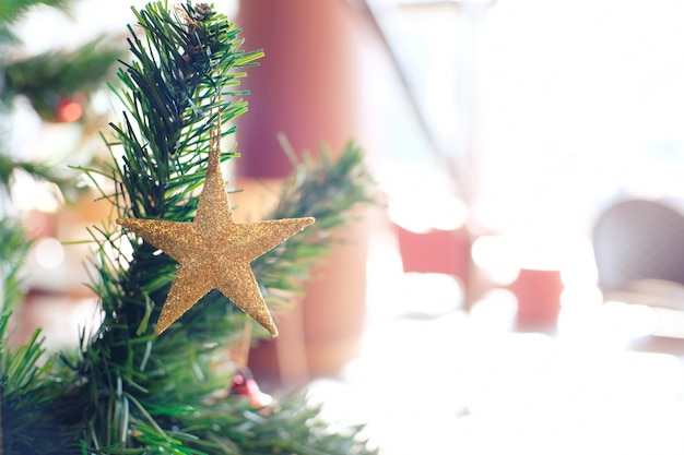 Close-up of christmas decoration hanging on tree