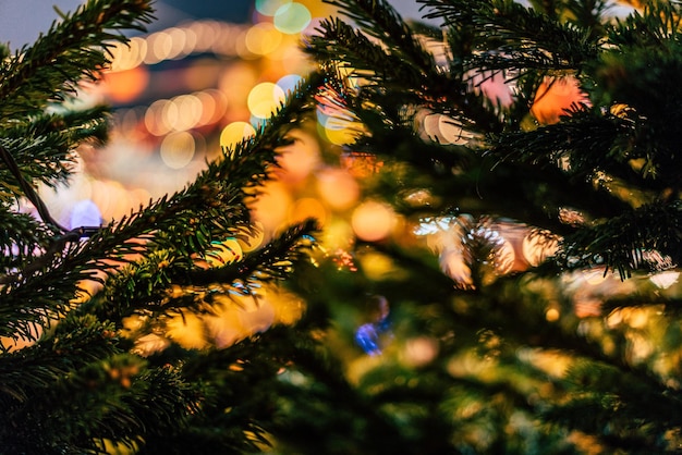 Photo close-up of christmas tree at night