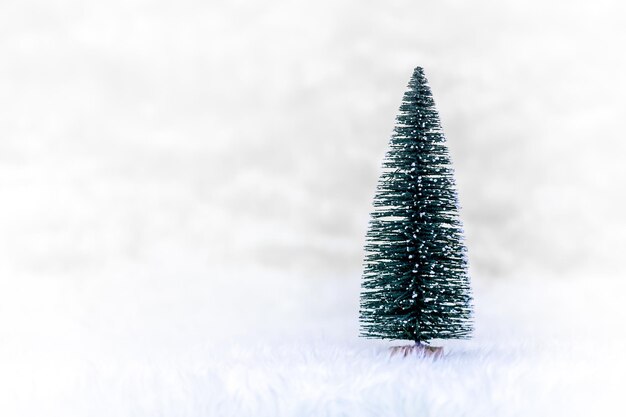 Photo close-up of christmas tree in snow