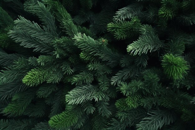 a close up of a christmas tree with green needles and a dark background