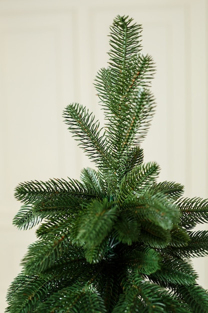 Albero di natale del primo piano senza giocattoli. buon anno nuovo spirito. i rami di un albero di natale verde si chiudono in su