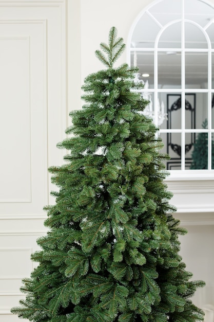 Close-up Christmas tree without toys. Good New Year spirit. Branches of a green Christmas tree close up