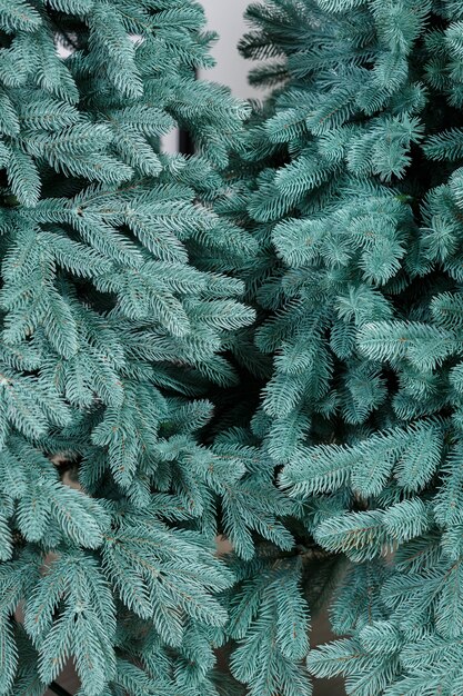 Close-up Christmas tree without toys. Good New Year spirit. Green branches of christmas tree