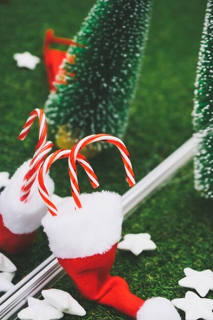 Close-up of christmas tree