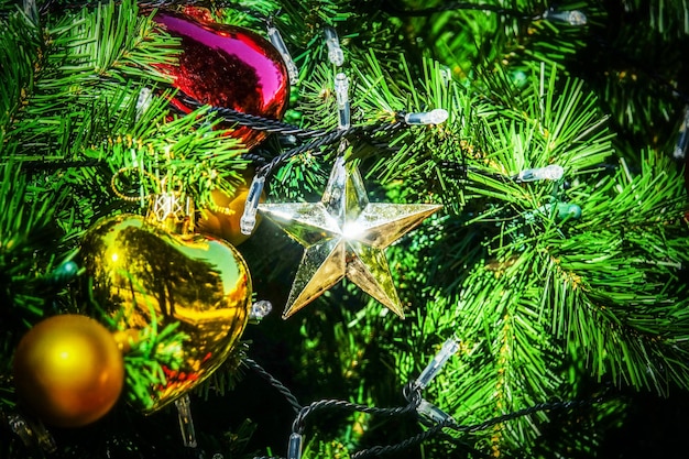 Photo close-up of christmas tree