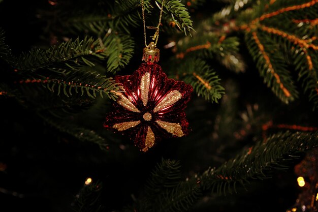 Close-up of christmas tree