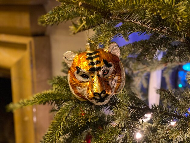 Photo close-up of christmas tree