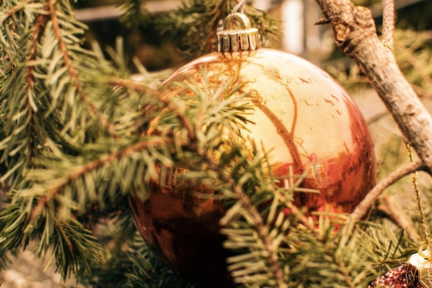 Photo close-up of christmas tree