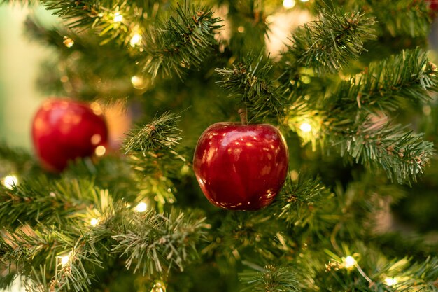 Close-up of christmas tree