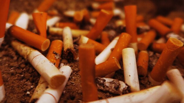 Close-up of cigarette in container