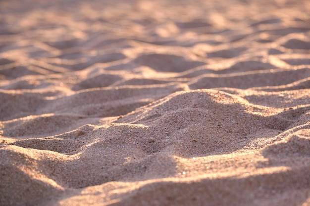 저녁 빛 여행 및 휴가 개념으로 조명된 해변 해변을 덮고 있는 깨끗한 노란색 모래 표면 닫습니다