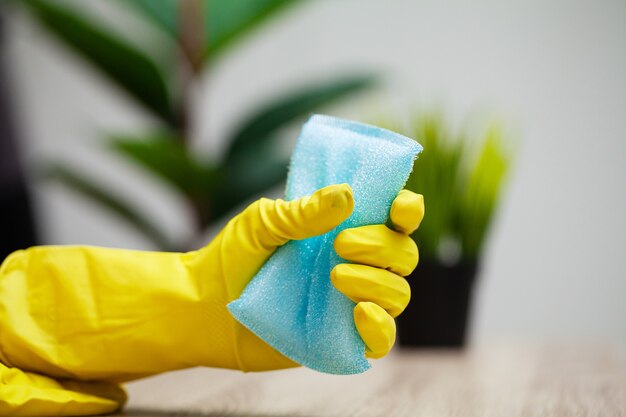 Close up cleaning company worker hand holding sponge.